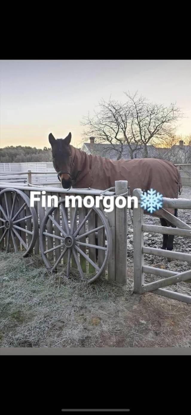 Johannas Ranch Saelen Rummet Ekenäs Exteriör bild